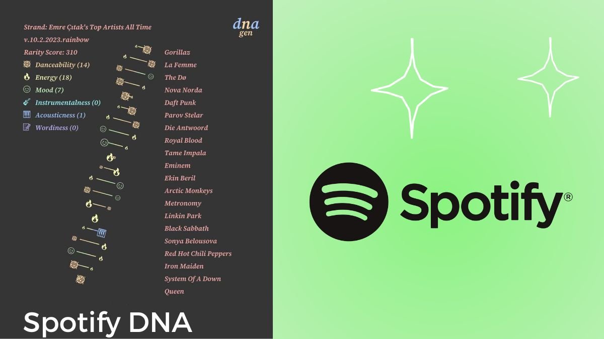 Spotify DNA: Exploring the Spotify Chart and How to Use It