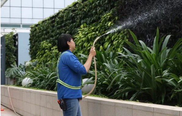 Top-Rated Landscape Contractors in Singapore for Stunning Outdoor Spaces